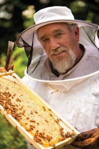 Backyard beekeeper Tom O’Keefe 