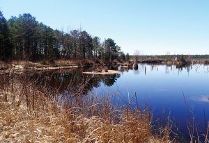 The lakeside trails of Franklin Parker Preserve