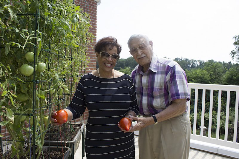 “Tomato Joe” Brings Italian Tomatoes to Voorhees SJ Mag Media