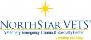 NorthStar-VETS-logo-wR