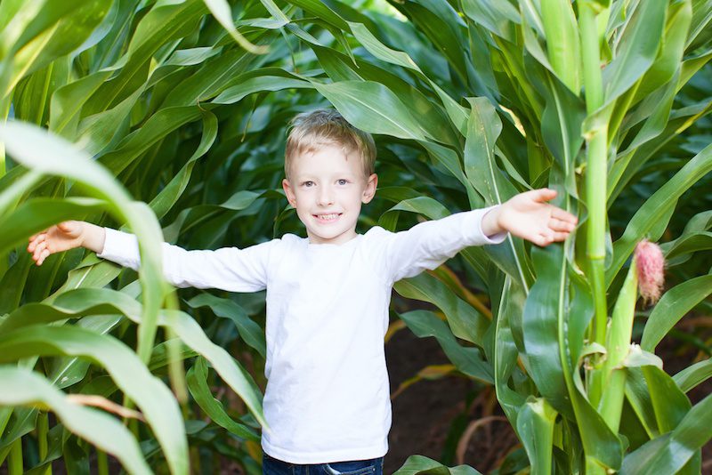 10 Cool Corn Mazes to Check Out in South Jersey - Before It's Too Late ...