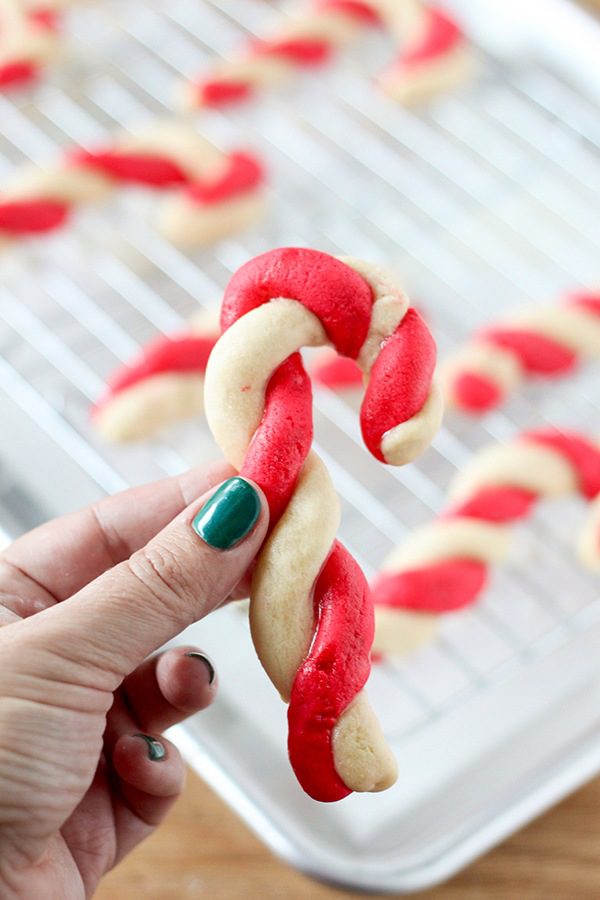christmas-peppermint-candy-cane-cookies-8