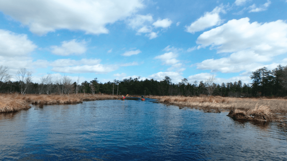 6 South Jersey Kayak Trails to Explore SJ Mag Media