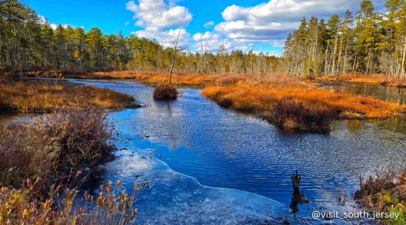11 Fall Family Photo Locations in South Jersey - SJ Mag Media