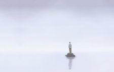 New Jersey’s Loneliness Epidemic