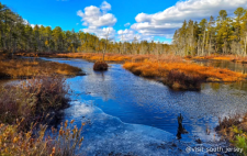 11 Fall Family Photo Locations in South Jersey